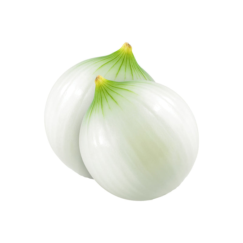 Cebolla Blanca x Kg