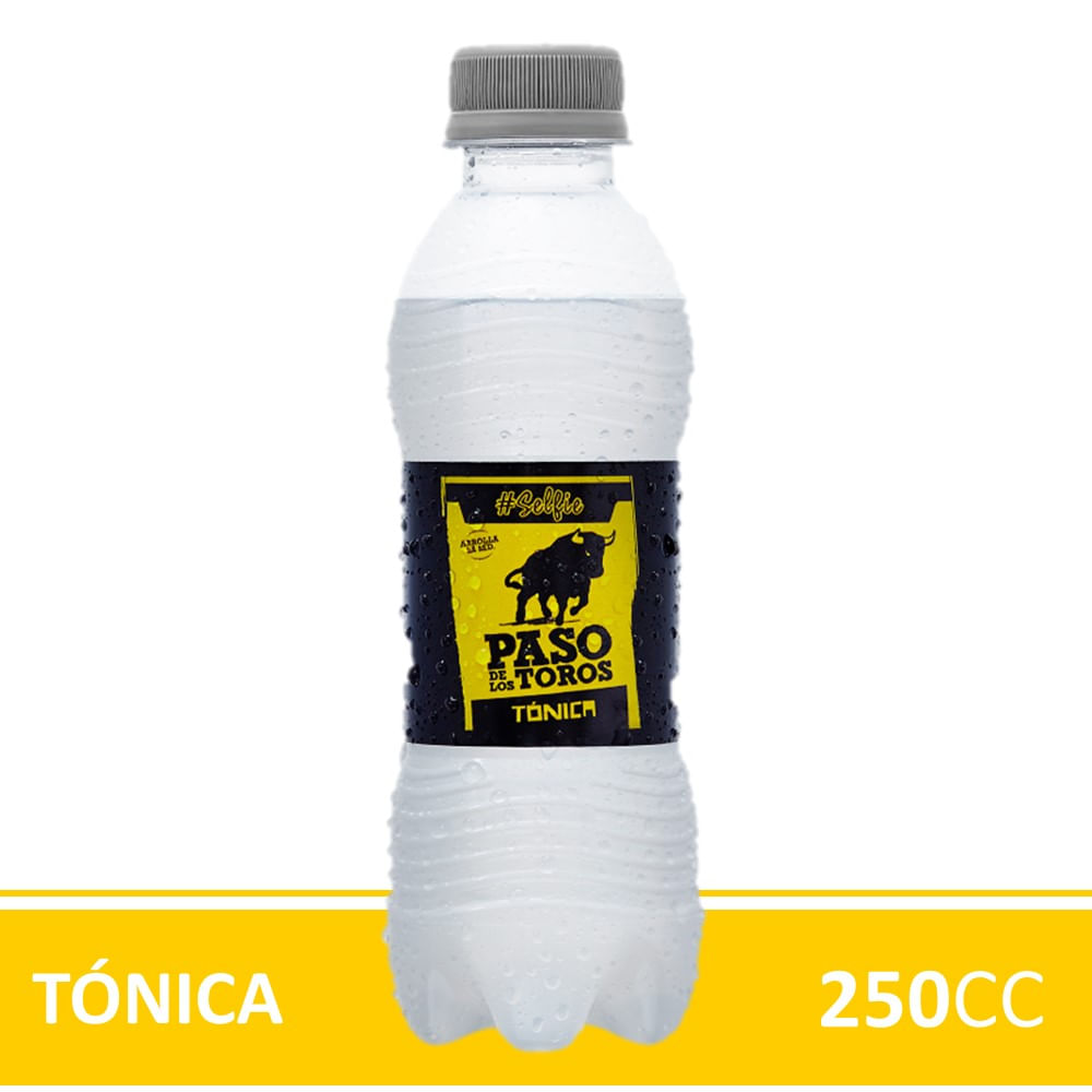 Gaseosa Paso de los Toros 250
