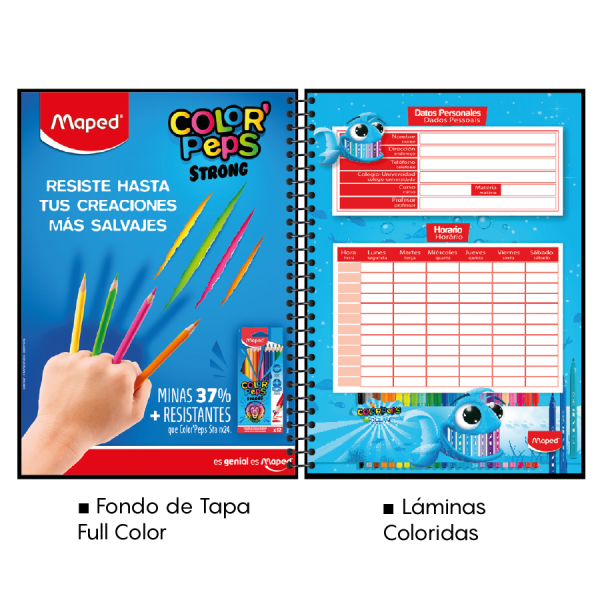 Universitario 48hjs Td Araña 1raya Maped