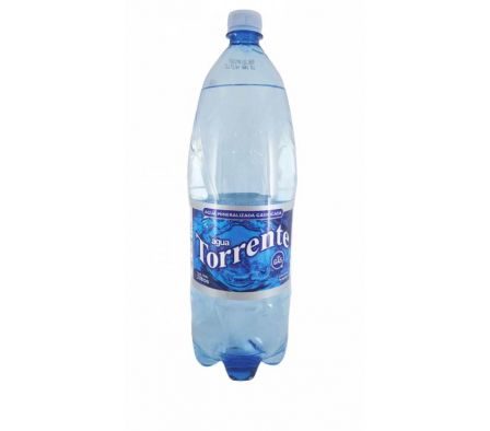Gaseosa Tonica Paso de los Toros 2L