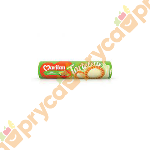 Galletita Tortuguita Frutilla 105g