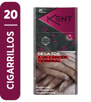 Kent Neo Rose 20s